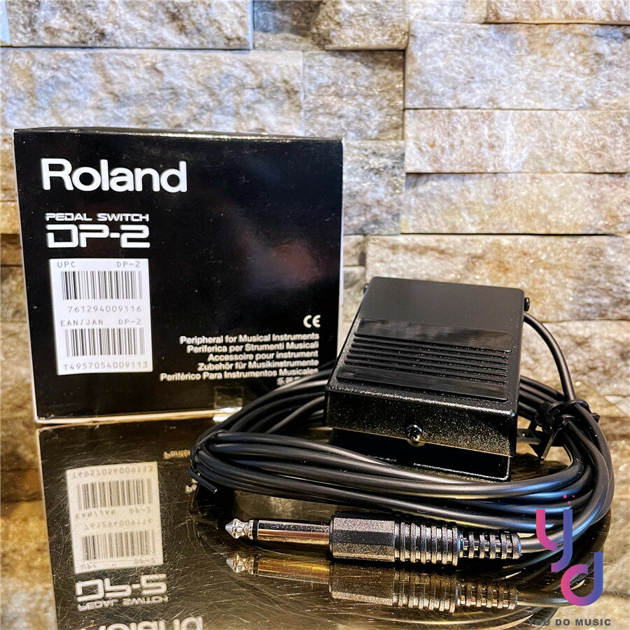 現貨可分期 公司貨 Roland DP-2 DP2 延音踏板 表情踏板 電鋼琴 電子琴 合成器 yamaha 適用