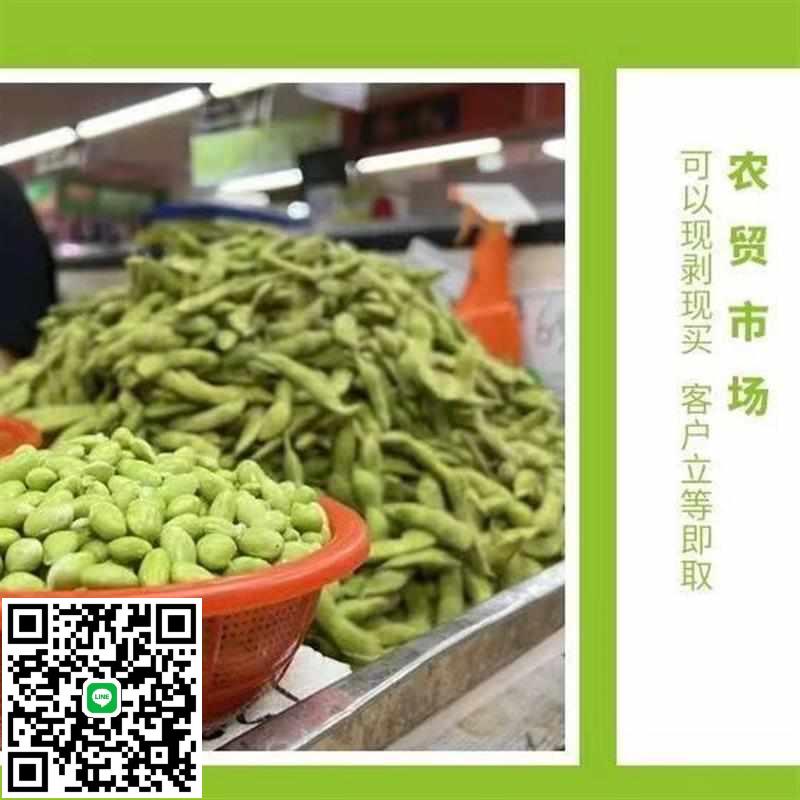去皮商用機剝電動去殼機機器直豆豆剝殼zx毛豆小型脫皮機剝全自動