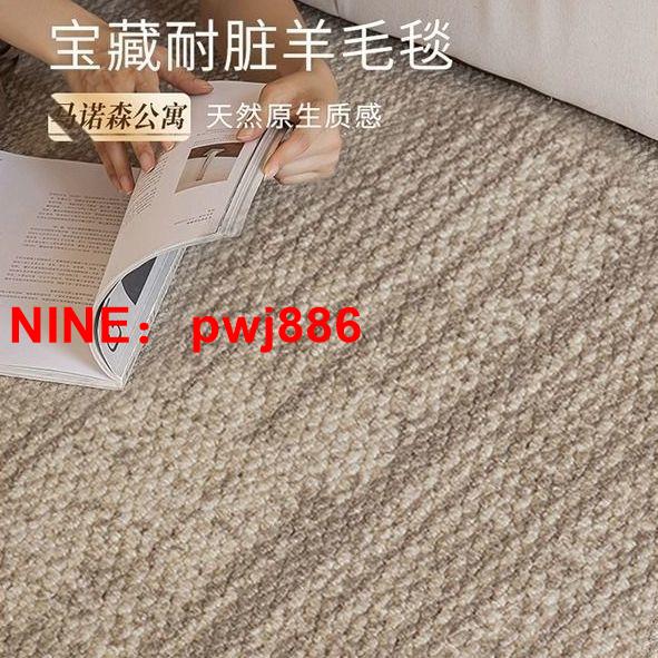 台灣公司貨 可開發票 新西蘭進口羊毛地毯耐臟輕奢高級客廳沙發茶幾地墊法式臥室床邊毯