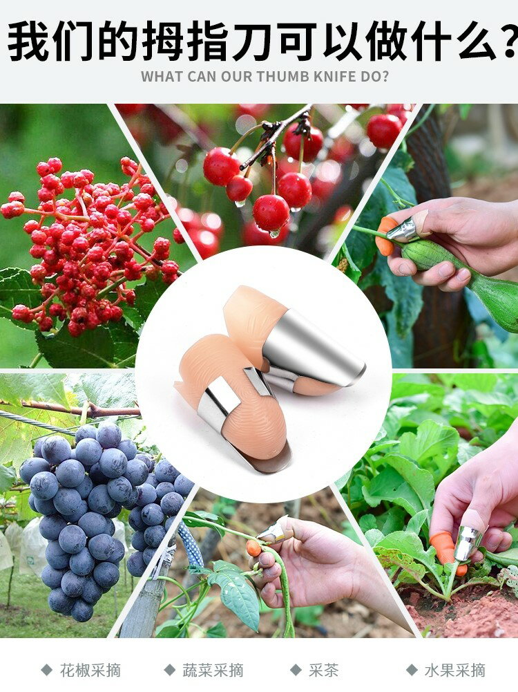 摘花椒專用神器手套防刺農用採摘豆角掐菜摘菜鐵指甲拇指刀多功能