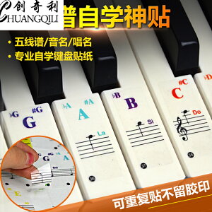 鋼琴貼 紙五線 譜自學 貼鋼琴 電子琴 貼彩色88鍵盤貼66鍵盤可重複貼