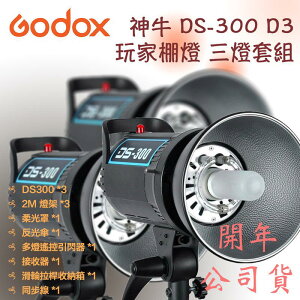 【eYe攝影】GODOX 神牛 DS 300 D3 三燈套組 附 引閃器 接收器 棚燈 反射傘 柔光箱 燈架 滑輪收納箱