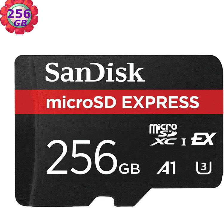 SanDisk 256GB microSD Express 880MB/s SDSQXFN-256G 記憶卡｜APP賺6%點數回饋