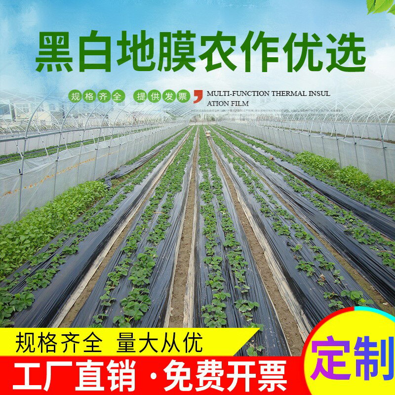 黑白地膜作物保溫膜家用農產品防水膜塑料薄膜大棚蔬菜種植保護膜