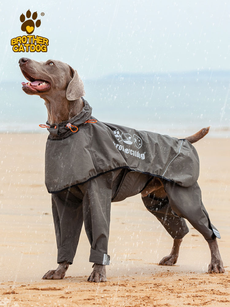 2024夏季新款寵物雨衣中大型犬防水雨披四腳防水服高品質狗狗雨衣 全館免運