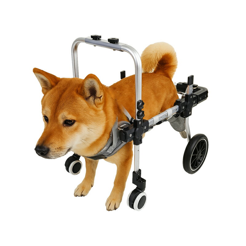{可打統編 保固一年}可調節狗寵物輪椅后腿支架后肢癱瘓康復四輪老年輔助車助力代步車 2