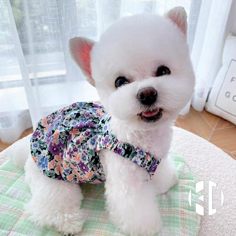 雪紡碎花夏季薄款狗狗貓咪寵物博美比熊泰迪小狗衣服小型犬春秋款【聚物優品】