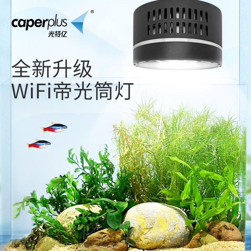 燈座/燈管 光特億二代帝光筒燈魚缸燈wifi手機控制24小時自然增艷個性模式L61公司貨 快速出貨