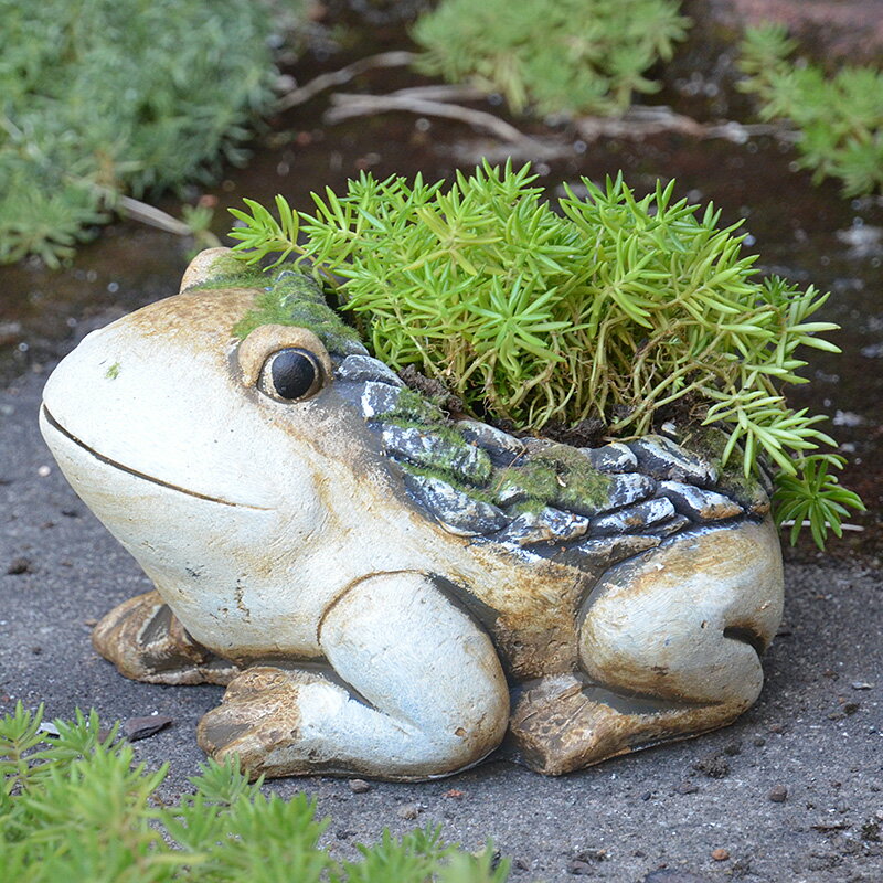 花園庭院裝飾青蛙動物水泥花盆多肉植物盆栽花器陽臺園藝雜貨擺件