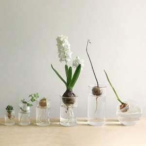 【日本SPICE】水培玻璃花瓶 迷你燈泡花瓶 透明水培玻璃 五種尺寸