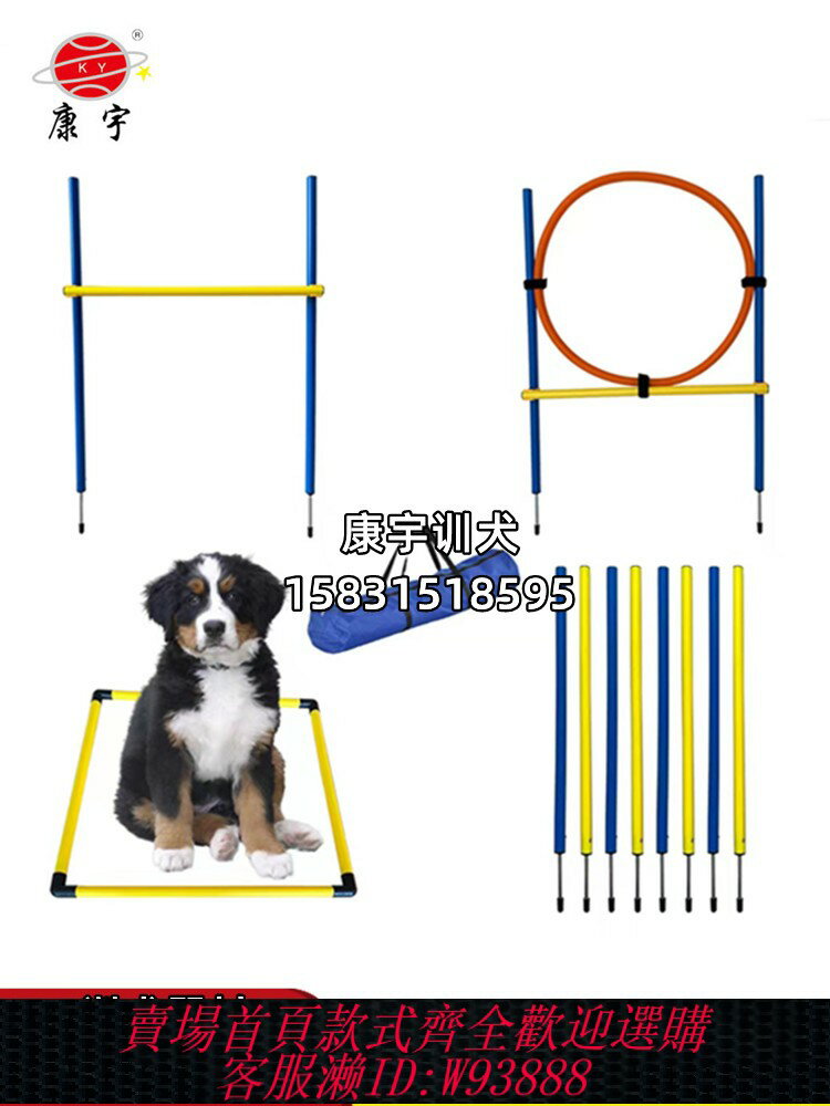{臺灣公司貨 可打統編}簡易訓犬器材寵物狗敏捷訓練器材 戶外用玩具娛樂道具小區公園