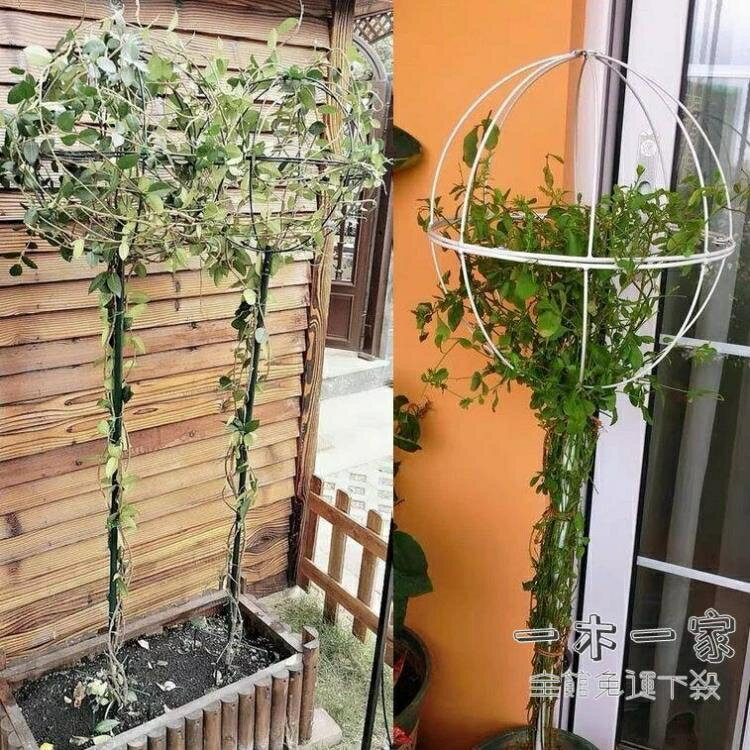 爬藤花架 鐵線蓮風車茉莉月季棒棒糖支架鐵藝球形花園花架爬藤架子攀爬架子 2