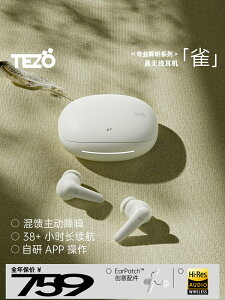Tezo雀Sparrow耳機2024新款真淺入耳ANC主動降噪通勤耳機
