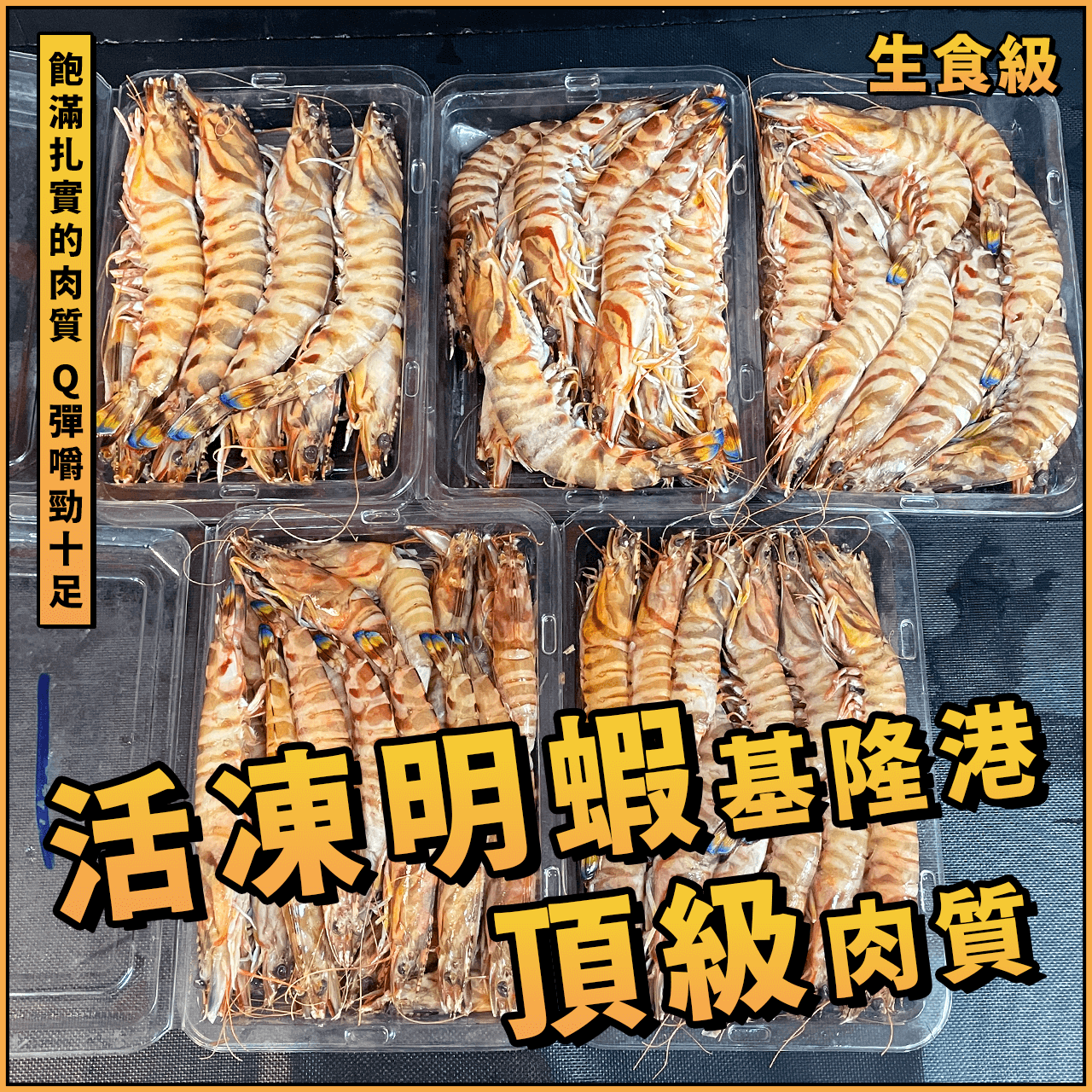 【天天來海鮮】活凍基隆港明蝦／大明蝦／野生大明蝦／大斑節蝦／斑節蝦／蝦子／大蝦／台灣明蝦／燒烤／中秋