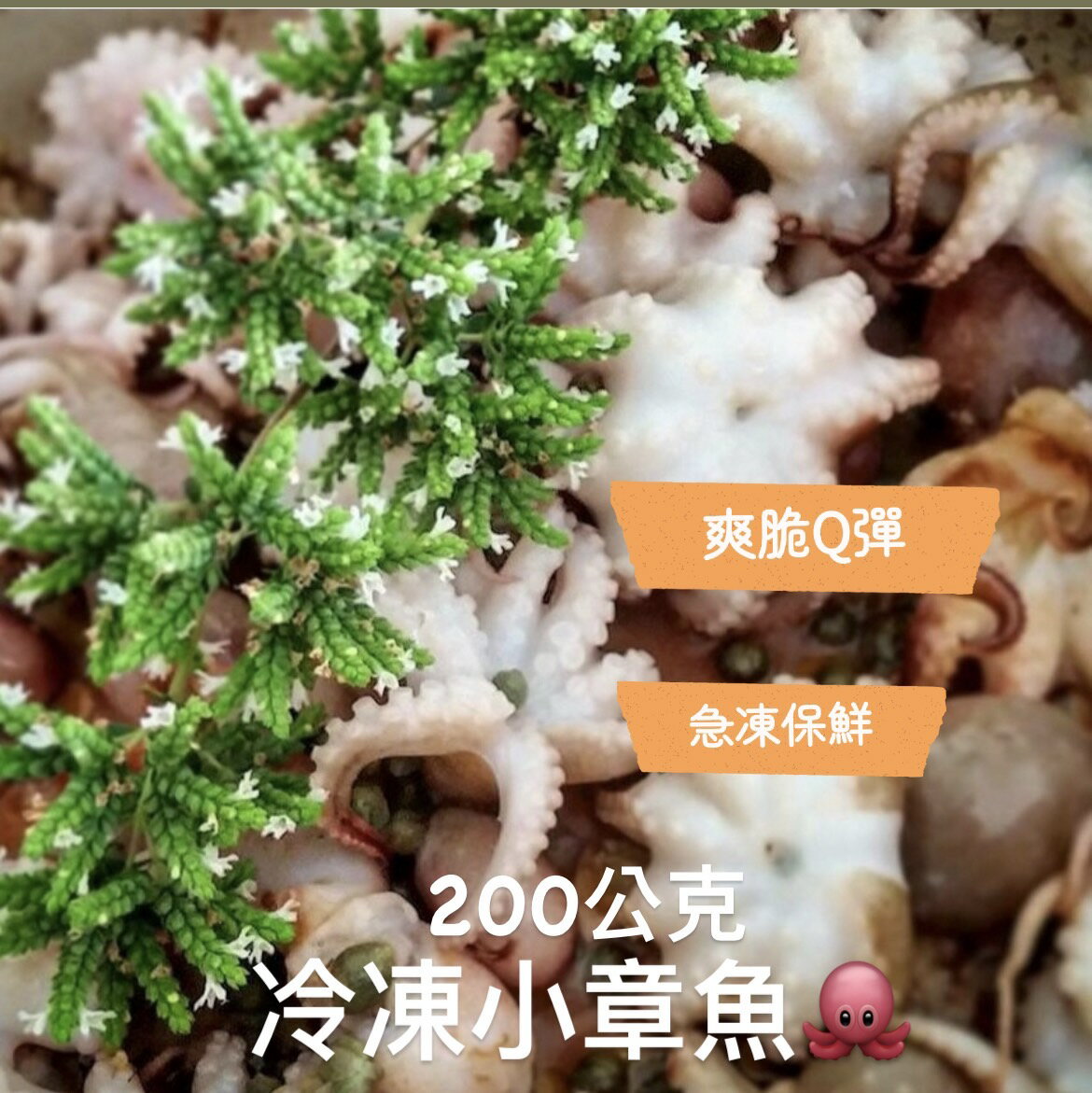 [誠實討海人]  冷凍小章魚 (200克/包)