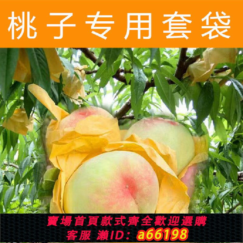 【臺灣公司 可開發票】桃子專用套袋桃袋油桃毛桃黃桃套袋透氣水果套袋果袋水蜜桃袋防蟲