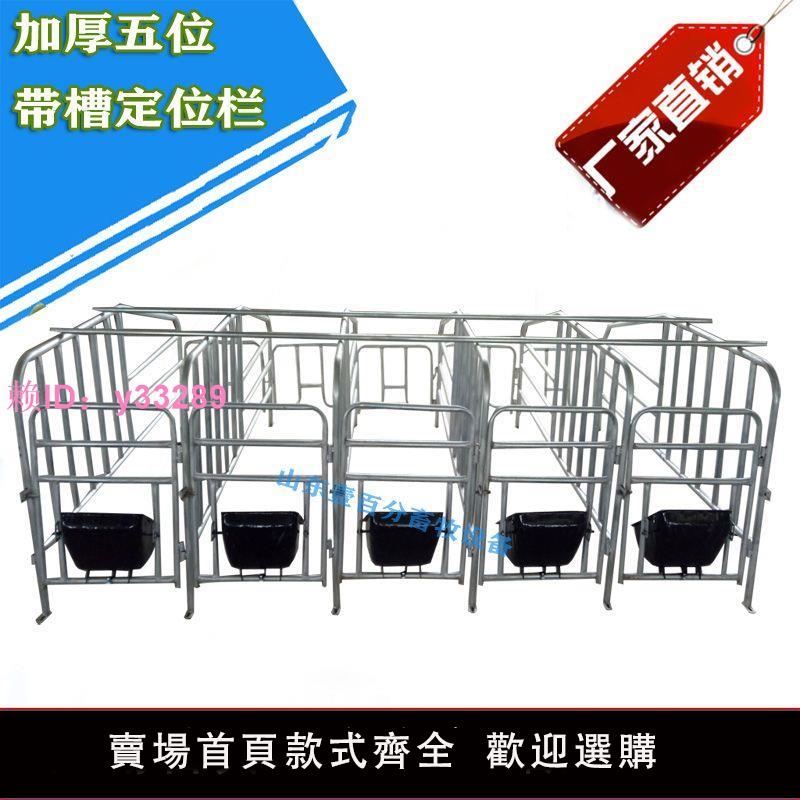 母豬定位欄限位欄加厚五位母豬產床豬產床仔豬保育床養豬裝置包郵