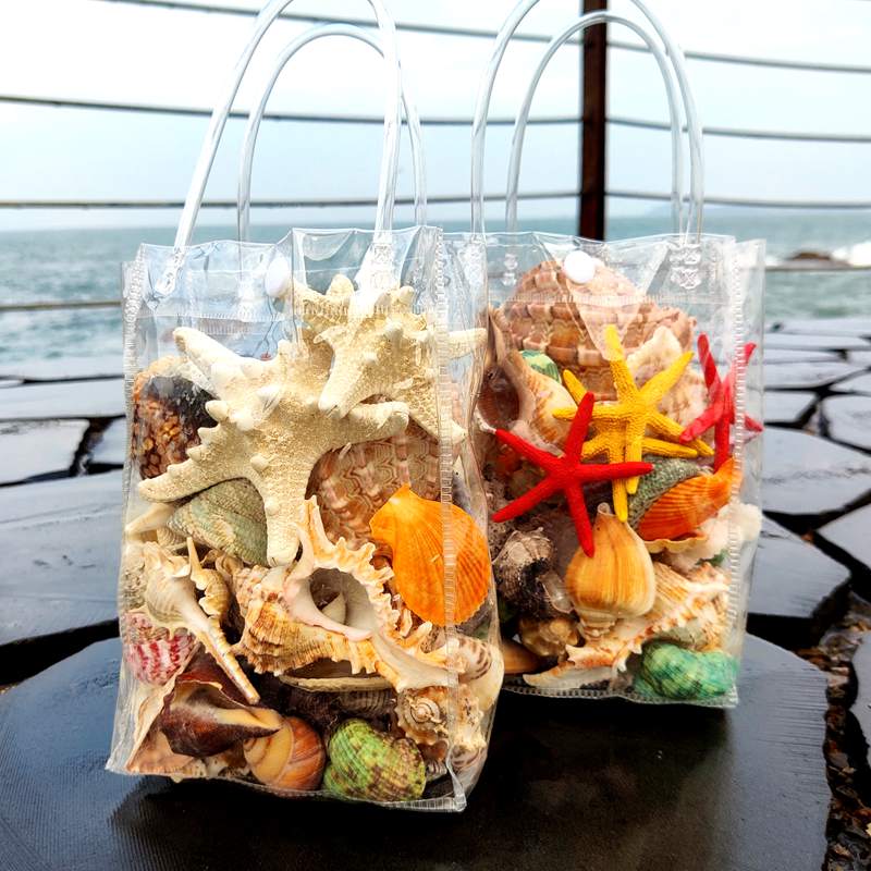 天然海螺貝殼模擬海星珊瑚魚缸造景水族箱裝飾品沙灘玩具兒童禮物
