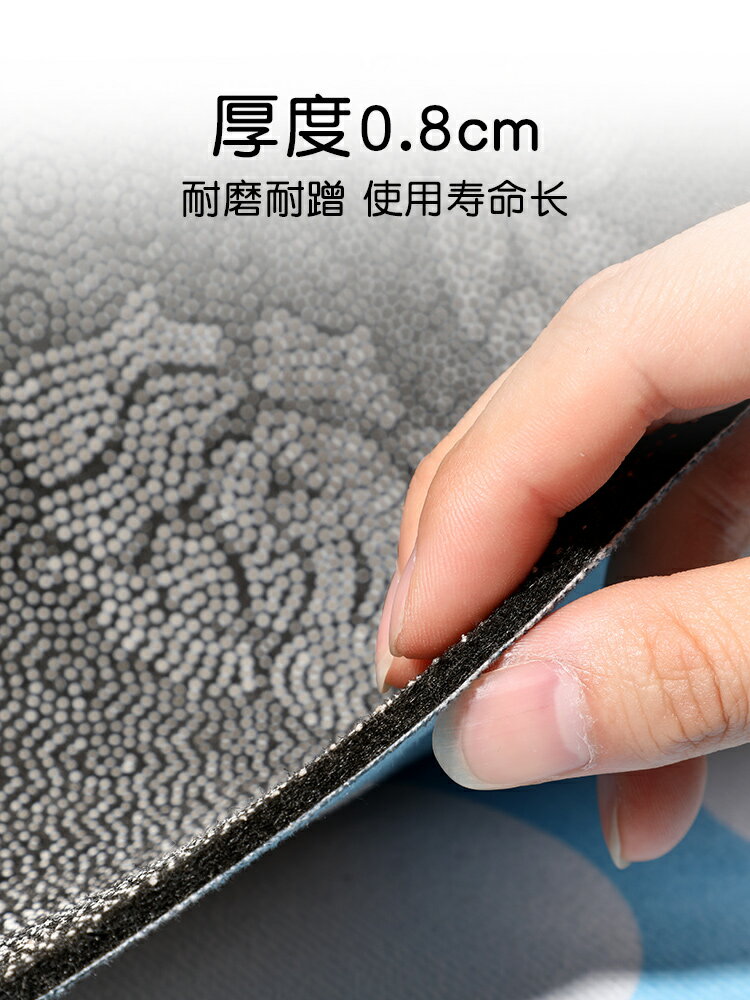 入戶門進門地墊家用進戶門墊門口防滑腳墊玄關可裁剪地毯臥室吸水