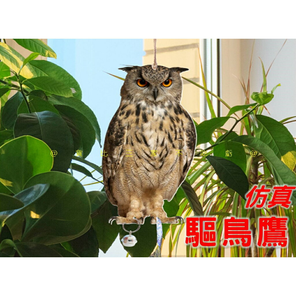 仿真驅鳥鷹 趕鳥綵帶 戶外陽臺驅鳥神器 仿真驅鳥片 庭院嚇鳥 塑膠模擬動物 閃光螺旋驅鳥 小院子造景園藝佈置 嚇鳥風箏