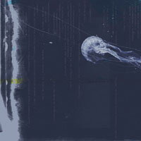 HINT: False Command (CD)