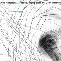 阿里爾德．安德森三重奏 Arild Andersen Trio: The Triangle (CD) 【ECM】