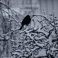 凱特爾．畢卓斯坦：夜遊者 Ketil Bjørnstad: Nightwalker (2CD) 【Grappa】