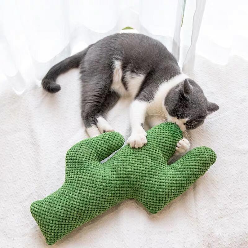 CQueen仙人掌貓薄荷玩具抱枕磨牙磨爪神器防應激貓玩具貓玩具