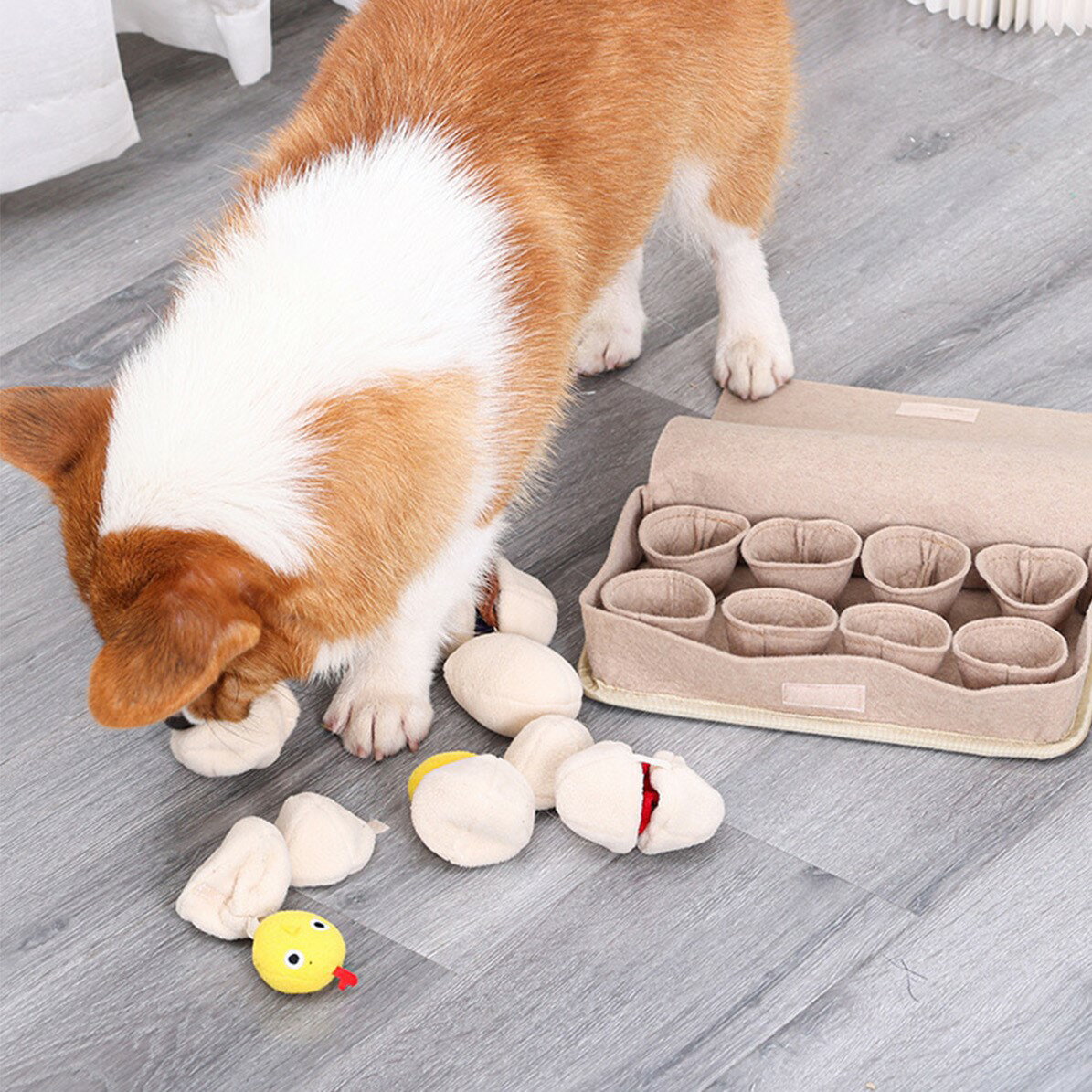 DogLemi多樂米 雞蛋盒嗅聞玩具 漏食玩具 狗狗玩具 狗玩具 寵物玩具 益智玩具 嗅聞玩具 藏食玩具 3