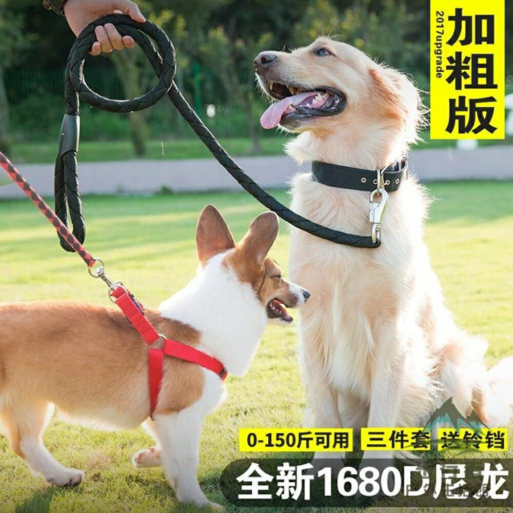狗狗牽引繩胸背帶遛狗繩子泰狗鏈子大中小型犬寵物用品