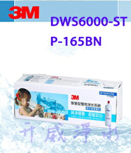 【全省免運費】3M DWS6000-ST/P-165BN智慧型雙效淨水系統-軟水替換濾芯【處理水量2,722公升】