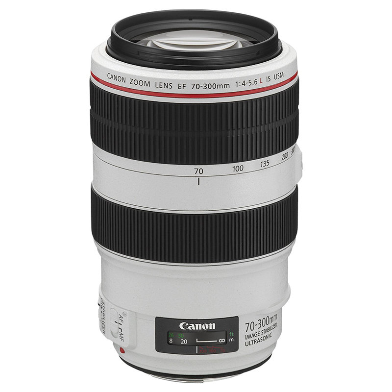 ◎相機專家◎ Canon EF 70-300mm F4-5.6L IS USM 公司貨 全新彩盒裝