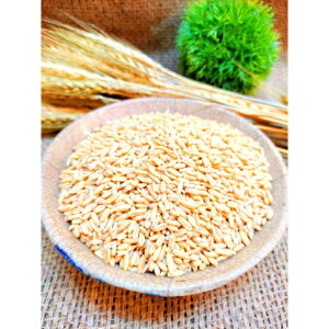 🌾 燕麥 🌾高營養成份的食物