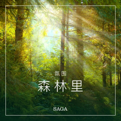 【有聲書】氛围——森林里 0