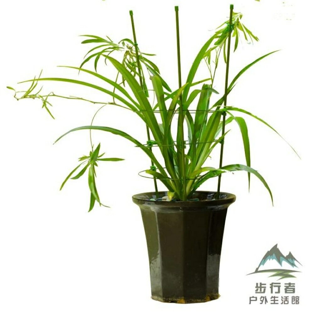 爬藤架子花支架植物盆室內花卉支撐桿園藝鐵線