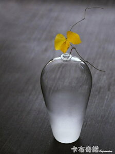 日式禪意玻璃花瓶水培透明花器插花梅瓶水養家居客廳裝飾擺件
