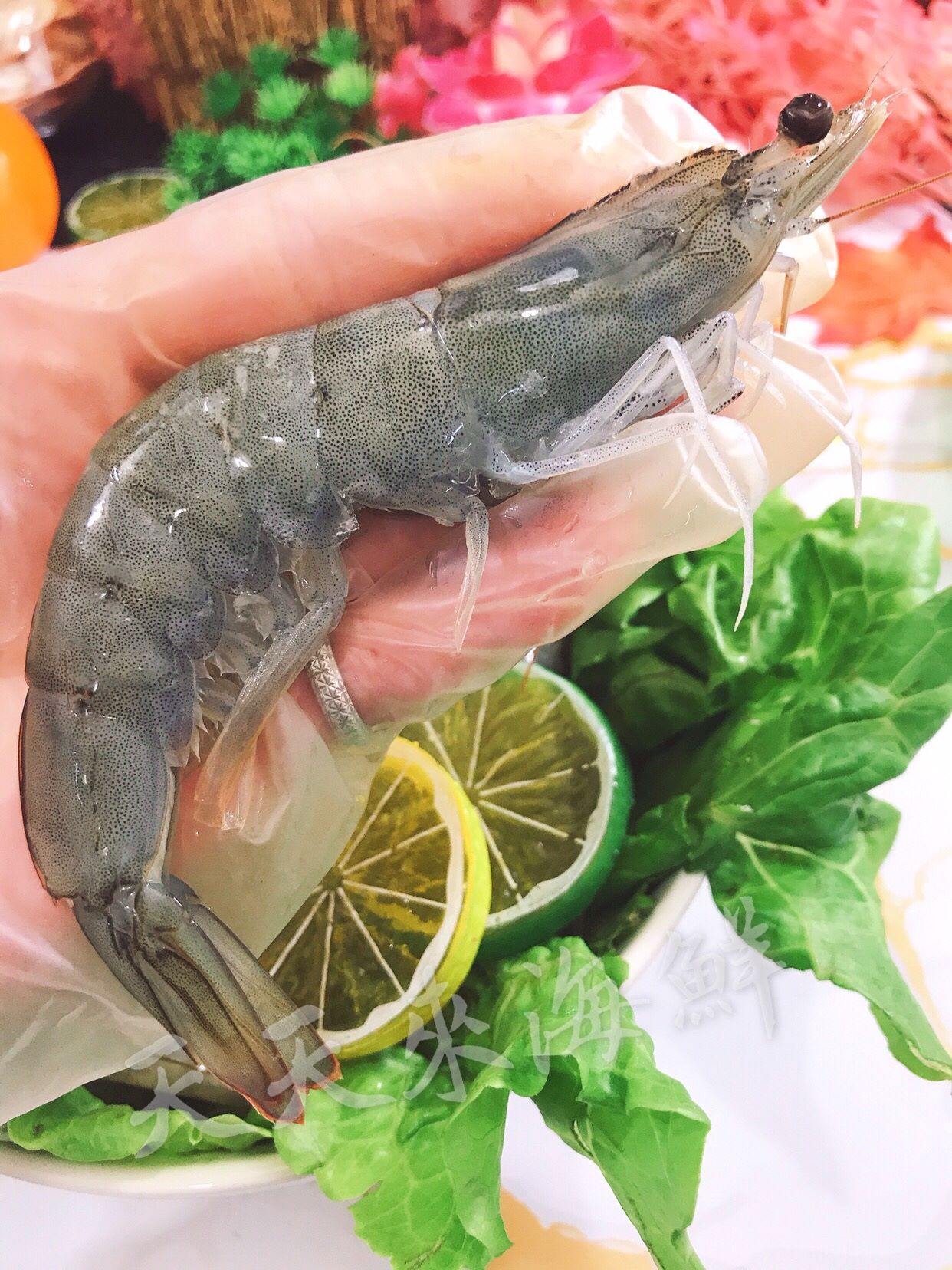 【天天來海鮮】世界頂級藍鑽蝦 重量:1公斤(約33-43尾)