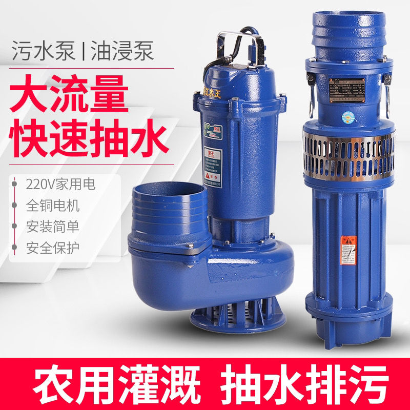 【詢價有驚喜】水王潛水泵6寸單相220V大口徑抽水泵大流量4寸5寸農用灌溉澆地QDX 1