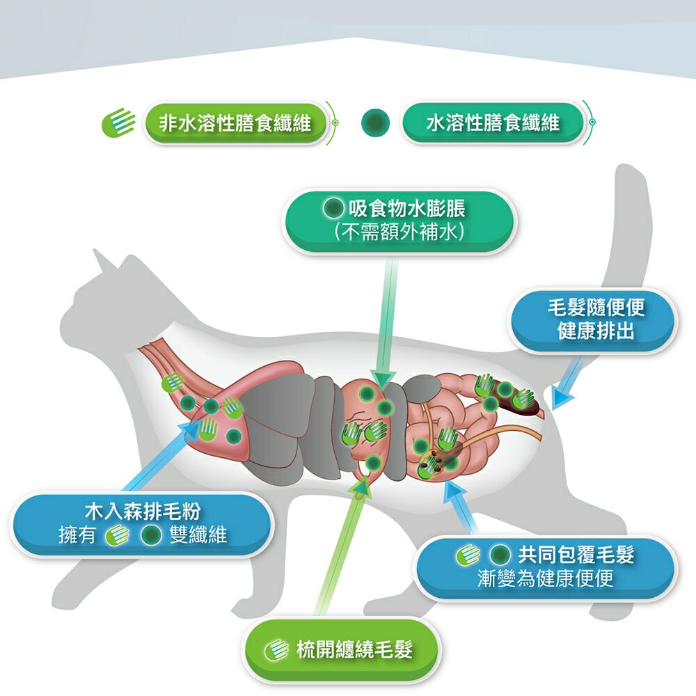 ＵＴＯ｜ 木入森 貓咪排毛粉 專業獸醫推薦 6