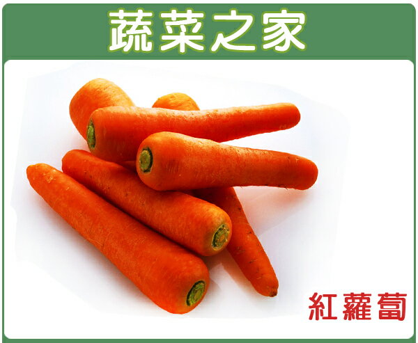 【蔬菜之家】C01.紅蘿蔔(胡蘿蔔)種子(共有2種包裝可選)