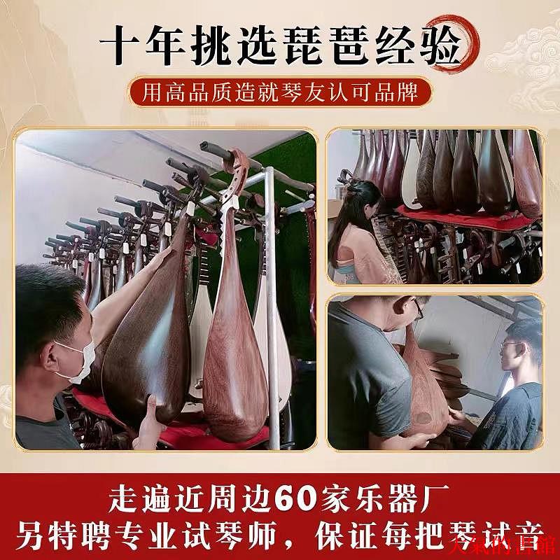 樂器鶯歌海兒童琵琶紅木花梨木兒童初學入門考級專用成人琵琶樂器保修