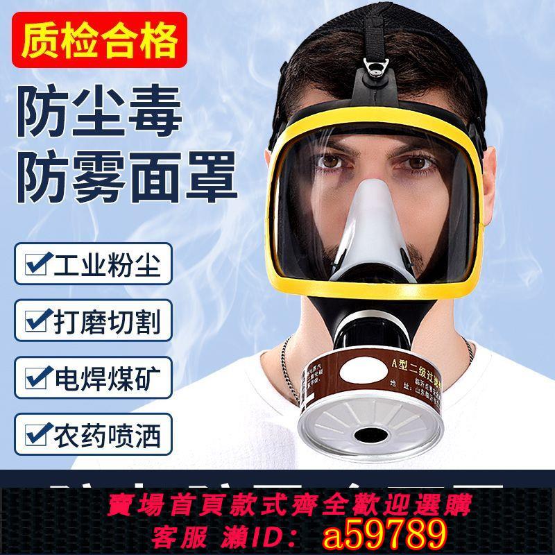 【臺灣公司 可打統編】防毒面具全面罩噴漆專用打磨護目化工面罩焊工消防面罩活性炭防煙
