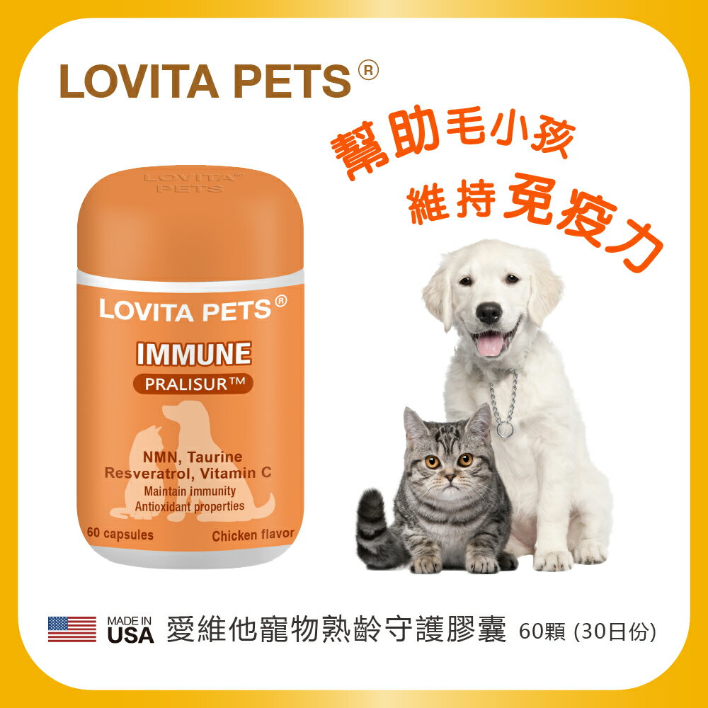 LOVITA PETS 愛維他寵物 熟齡守護膠囊