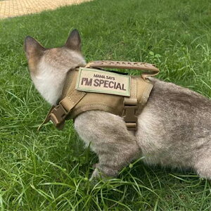 新款戰術貓背心胸背帶牽引繩安全溜貓神器貓咪外出防掙脫貓狗通用