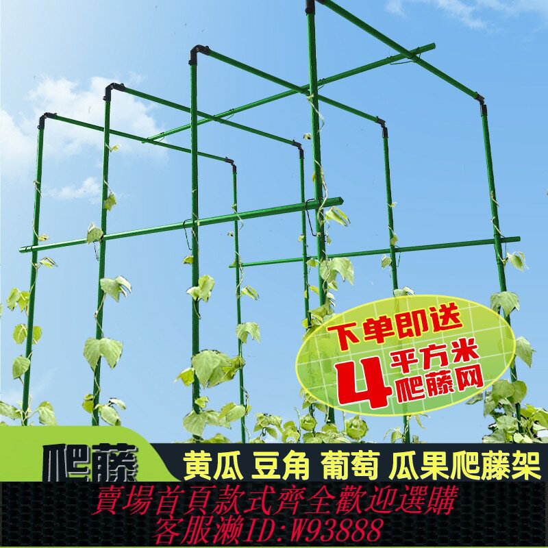{臺灣公司貨 可打統編}葡萄爬藤架黃瓜豆角蔬菜架桿植物架子種菜支撐桿菜棚支架花架拱門