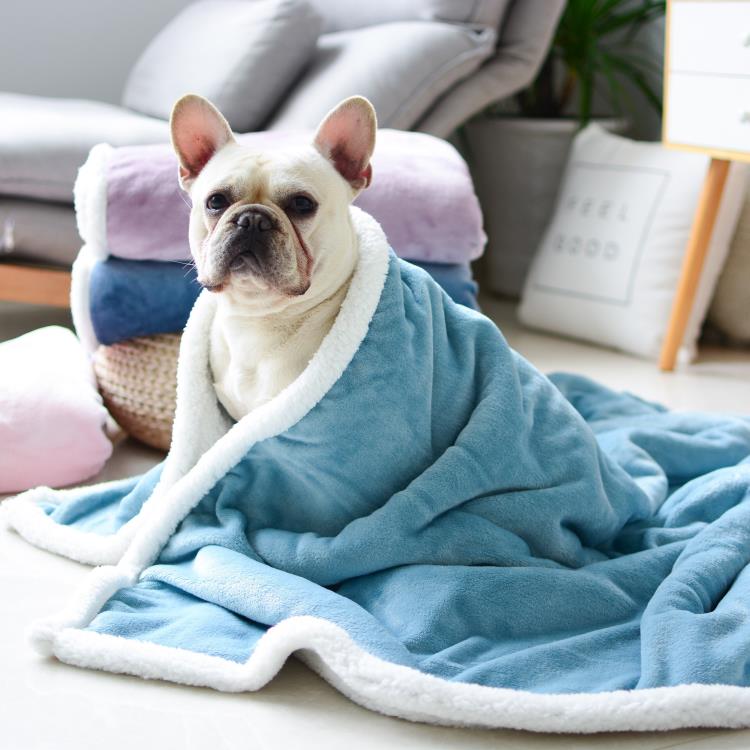 狗狗毛毯雙層空調被加厚狗墊子毛絨寵物毯子狗沙發墊防髒蓋被四季「限時特惠」