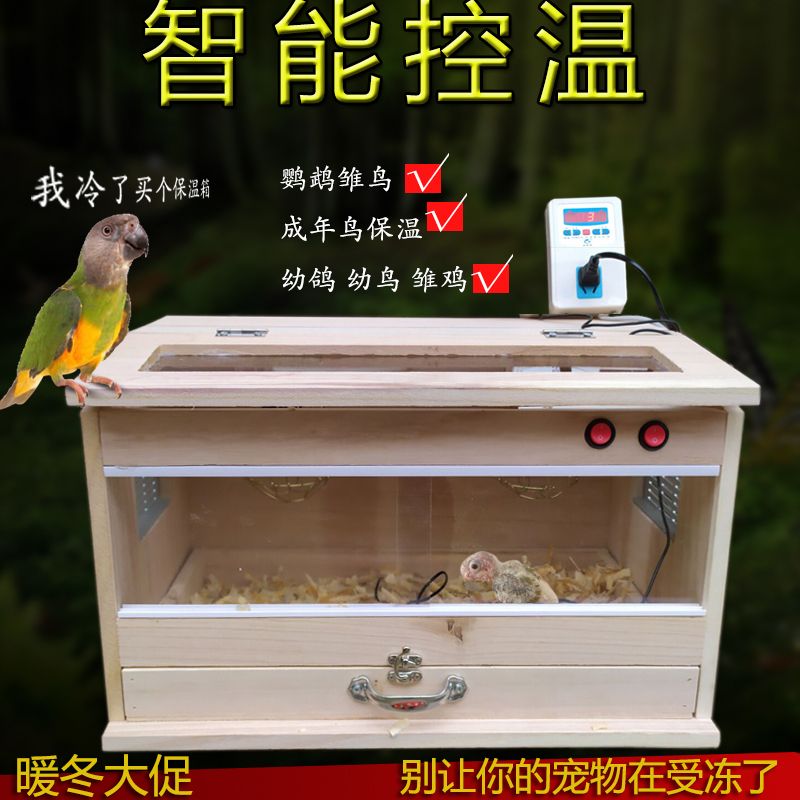 手養鸚鵡玄鳳虎皮牡丹活體雛鳥雛雞鴿子保溫育雛箱鳥保溫箱飼養箱