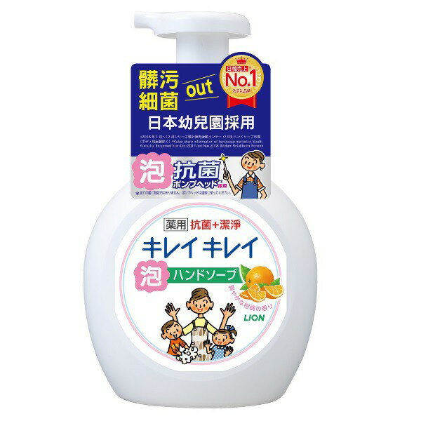 日本獅王趣淨洗手慕斯 清爽柑橘 250ml