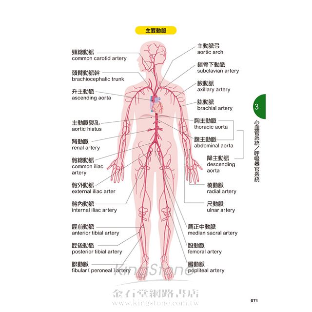 人体の解剖生理學 cajasordenadoras.com