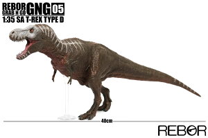 英國 REBOR Grab N Go GNG系列 05 SA T-Rex Type D 玩具 擺飾 模型公仔 恐龍 約40公分